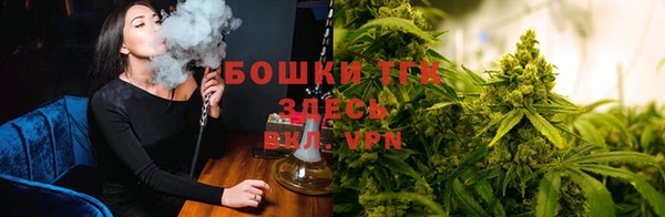 мдпв Краснотурьинск