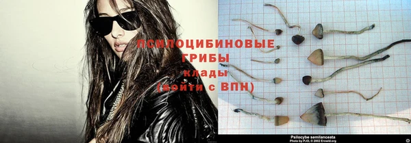 мдпв Краснотурьинск