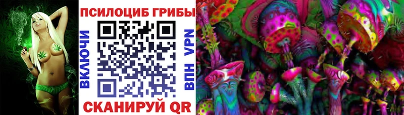 Псилоцибиновые грибы Cubensis  Купить закладки  Донецк 