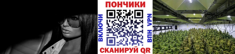 Конопля VHQ  Купить  Донецк 